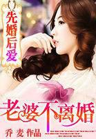 Marry first, love later: wife, don't divorce