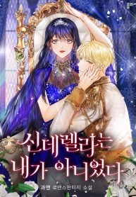 Cinderella Wasn't Me