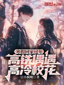 Going home for the New Year during the winter break, I encountered a cool school girl on the high-sp